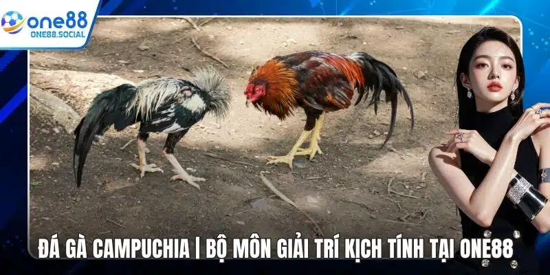 đá gà campuchia
