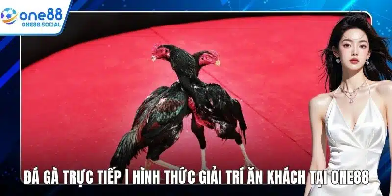 đá gà trực tiếp