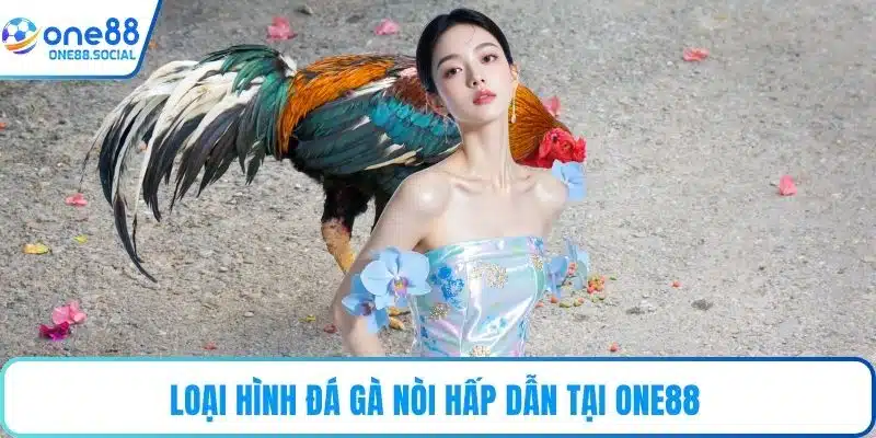 Loại hình đá gà nòi hấp dẫn tại ONE88