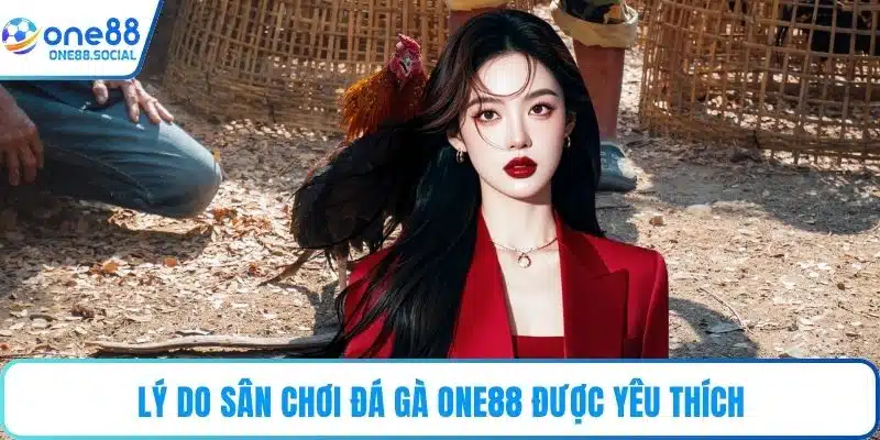 Lý do sân chơi đá gà ONE88 được yêu thích