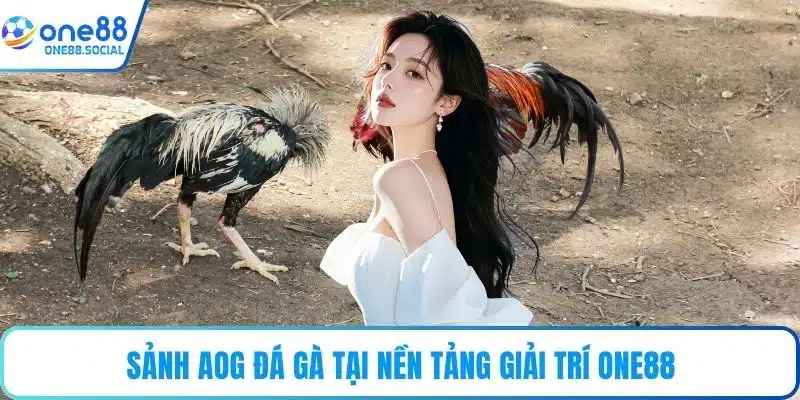 Sảnh AOG đá gà tại nền tảng giải trí ONE88